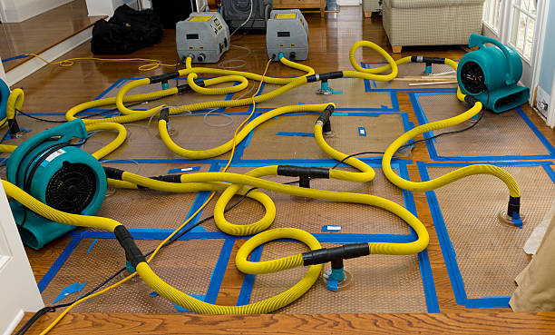 Professional Water Damage Restoration technician working in Acworth, GA
